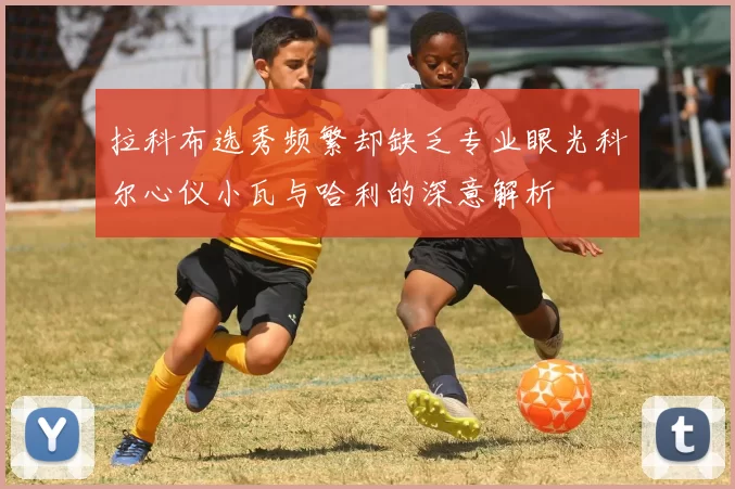 拉科布选秀频繁却缺乏专业眼光科尔心仪小瓦与哈利的深意解析