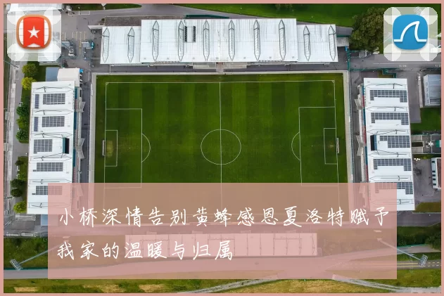 小桥深情告别黄蜂感恩夏洛特赋予我家的温暖与归属